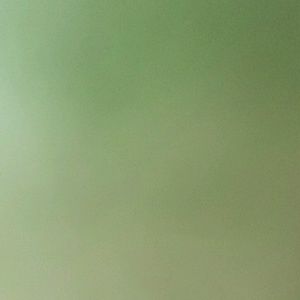 Meet your Posher, Kaylee